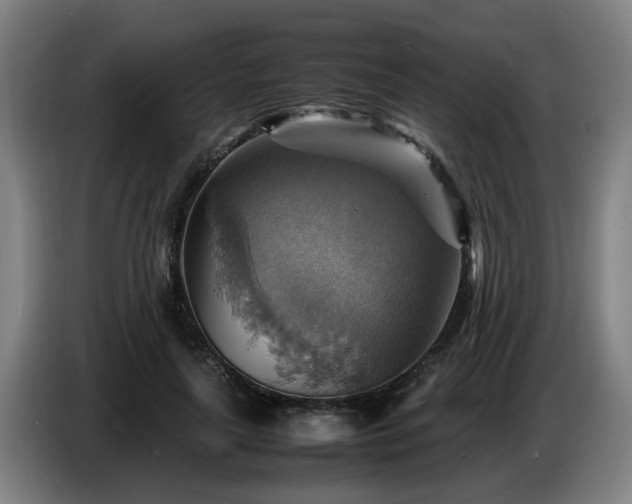 X0000086770643200704201805