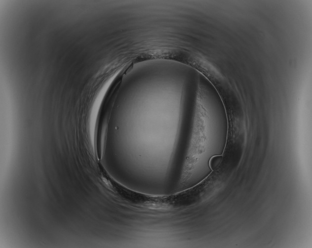 X0000086770644200704201805