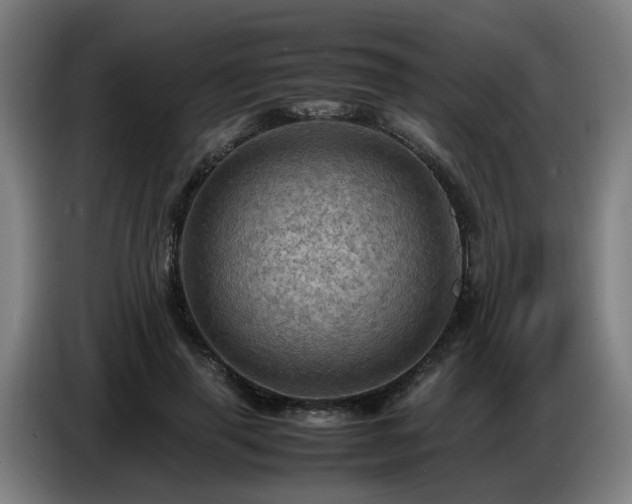 X0000086770645200704201805