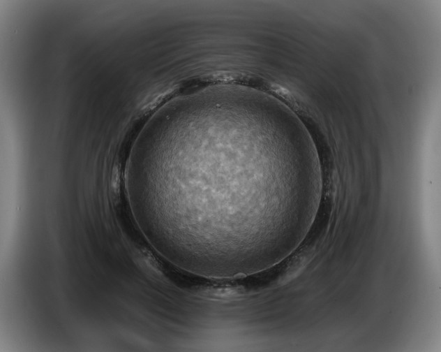 X0000086770646200704201805