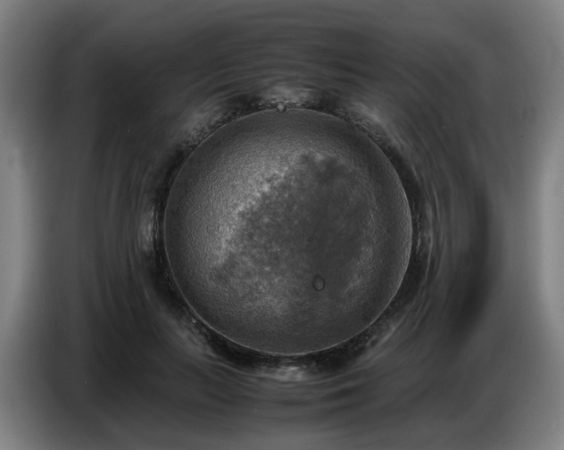 X0000086770647200704201805