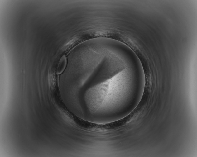 X0000086770648200704201805