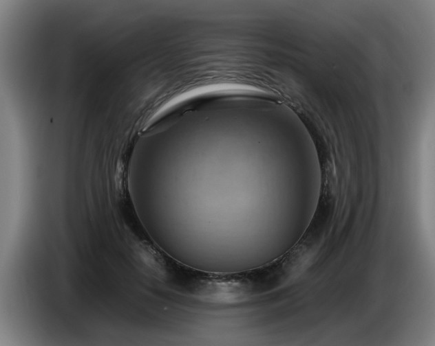 X0000086770650200704201805