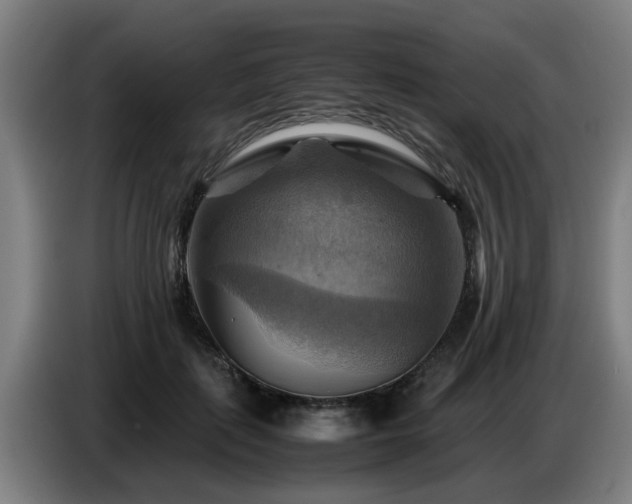 X0000086770651200704201805