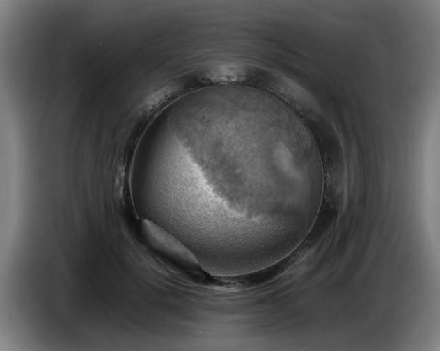 X0000086770652200704201805