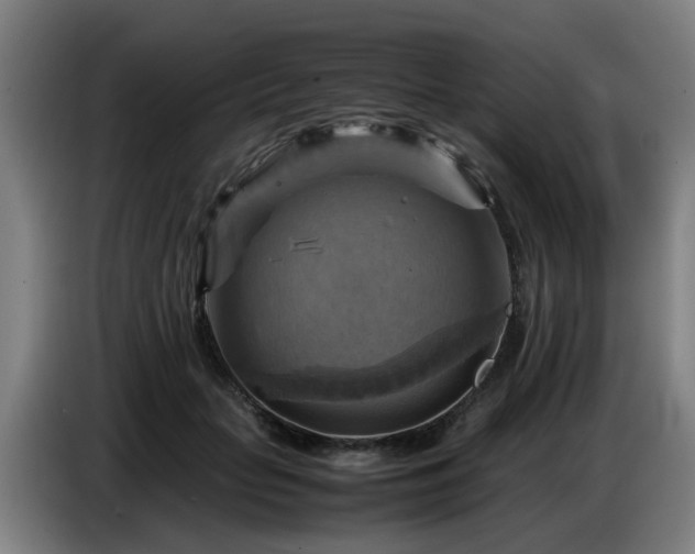 X0000086770653200704201805