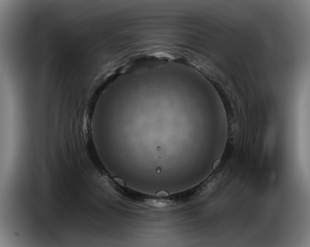 X0000086770654200704201805
