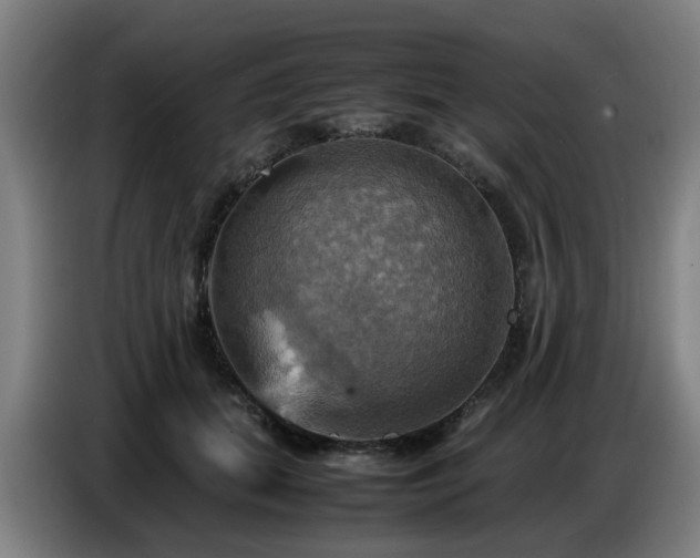 X0000086770655200704201805
