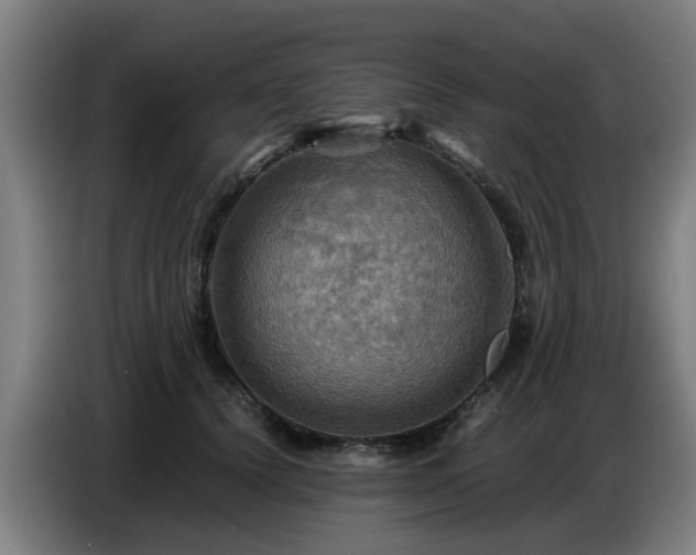 X0000086770656200704201805