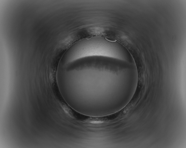 X0000086770658200704201805