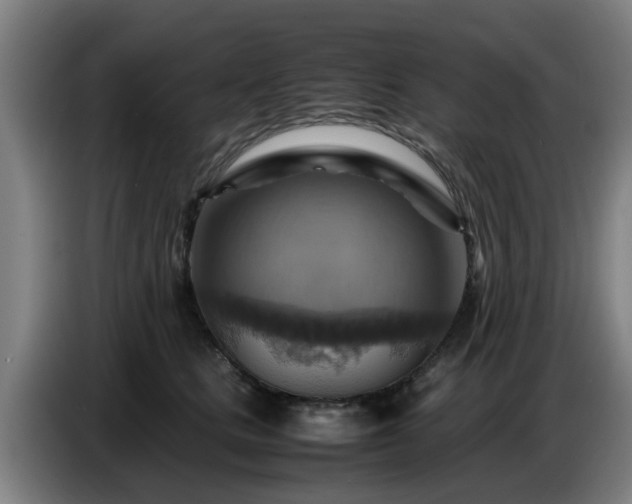 X0000086770661200704201805
