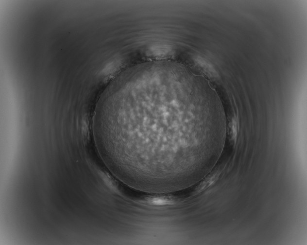 X0000086770662200704201805