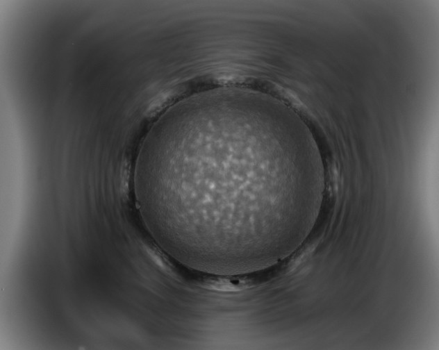 X0000086770664200704201805