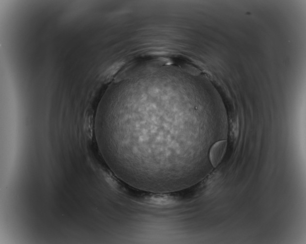 X0000086770666200704201806