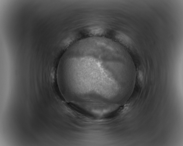 X0000086770668200704201806