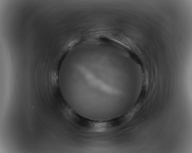 X0000086770669200704201806