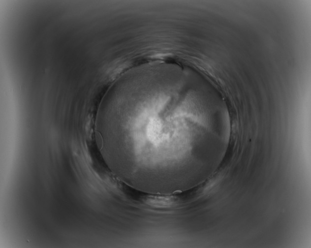 X0000086770671200704201806