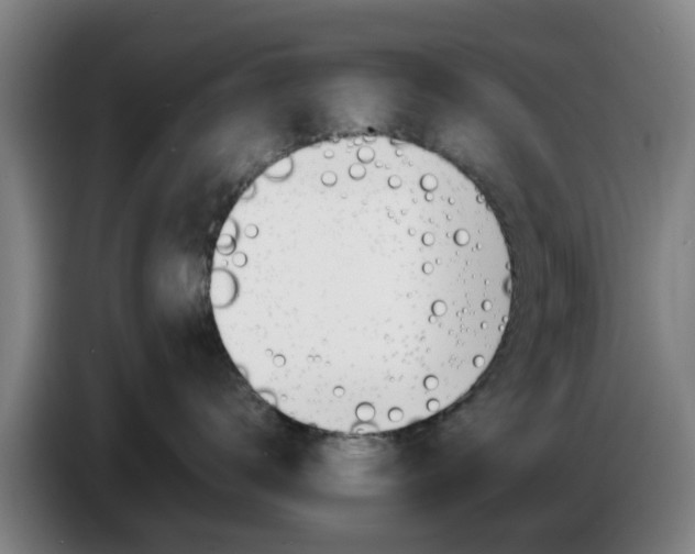 X0000086770672200704201806