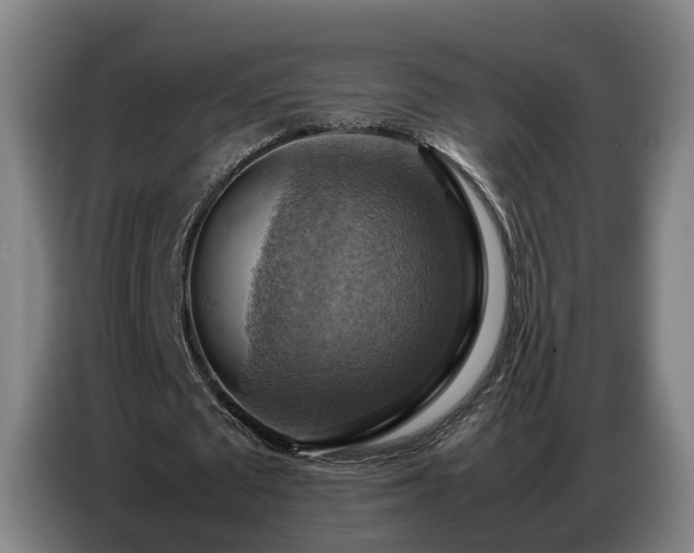 X0000086770673200704201805