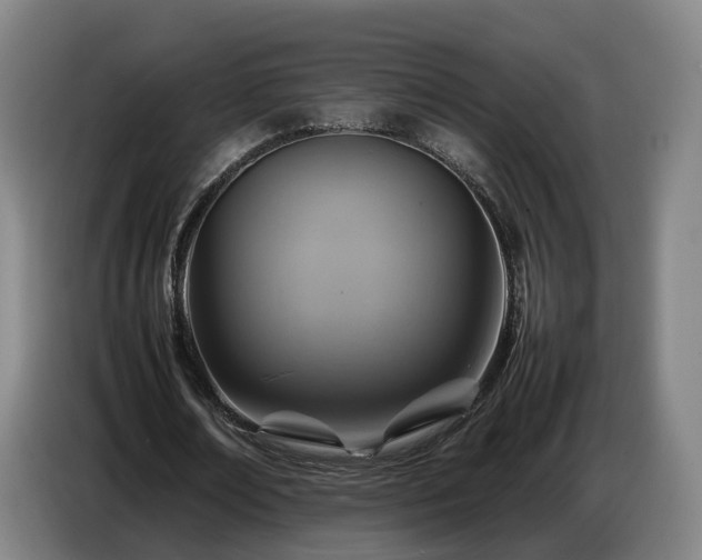 X0000086770674200704201805
