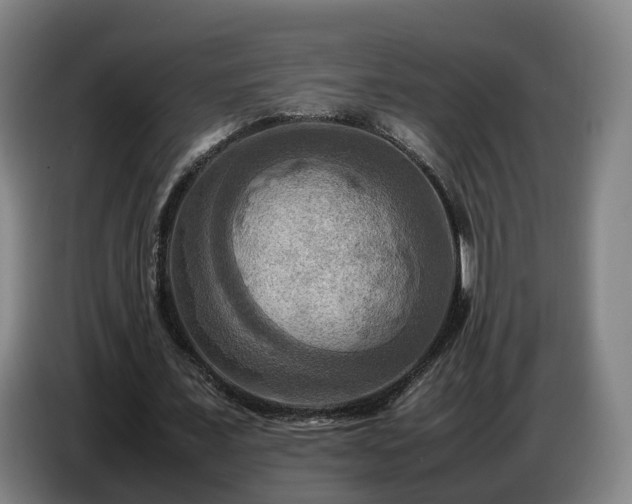 X0000086770675200704201805