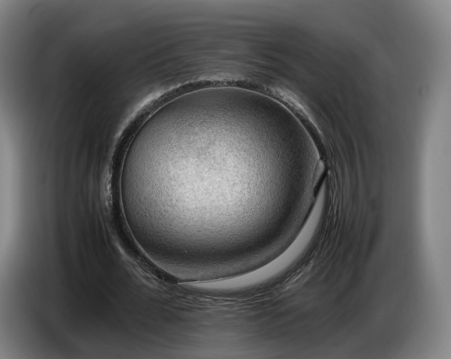 X0000086770676200704201805