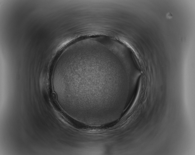 X0000086770677200704201805