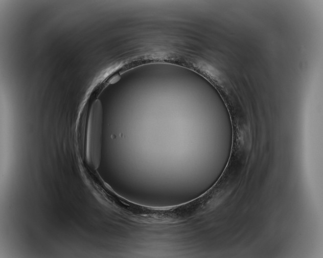 X0000086770678200704201805