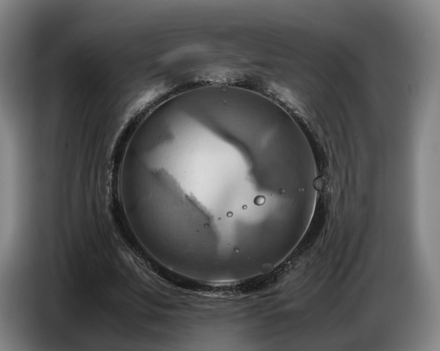 X0000086770679200704201805
