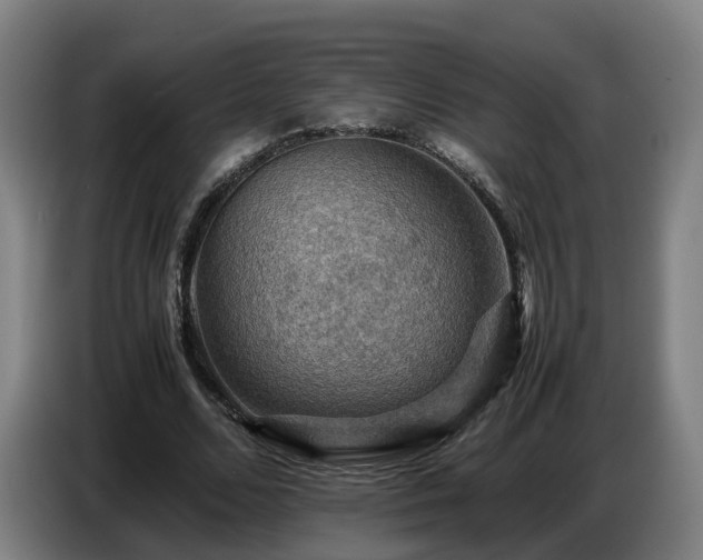 X0000086770680200704201805
