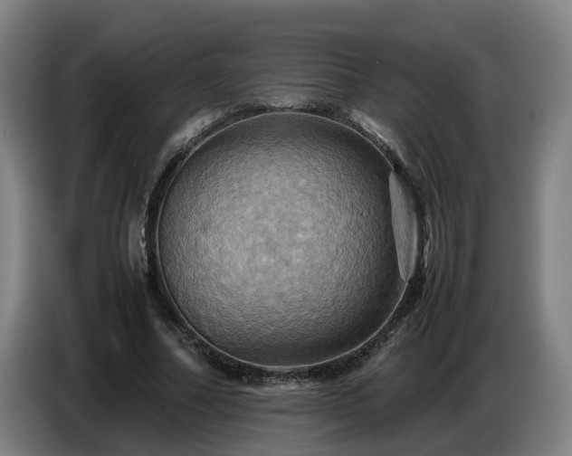 X0000086770682200704201805