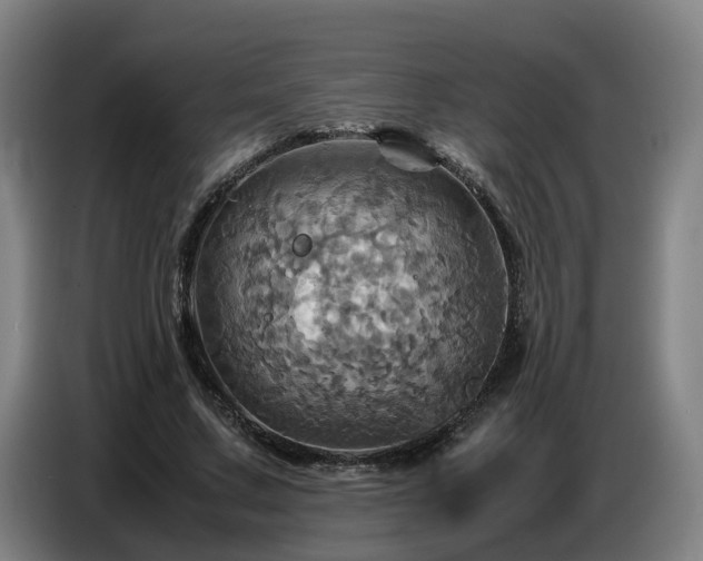 X0000086770683200704201805