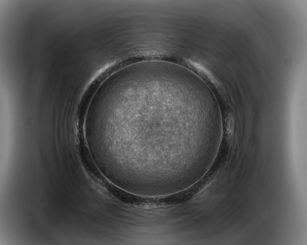 X0000086770684200704201805