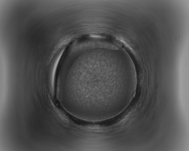 X0000086770685200704201805