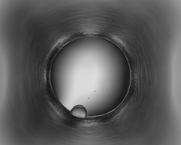 X0000086770686200704201805
