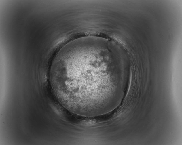 X0000086770687200704201805