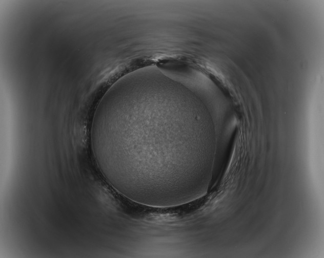 X0000086770689200704201805