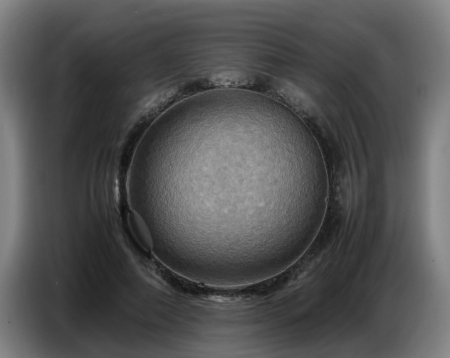 X0000086770690200704201805