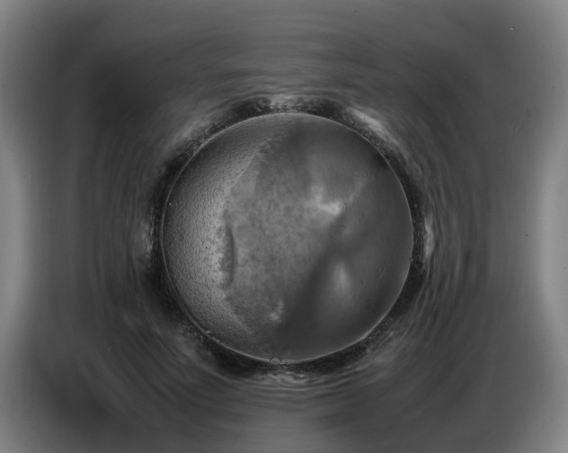 X0000086770691200704201805