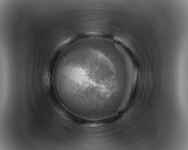 X0000086770692200704201805