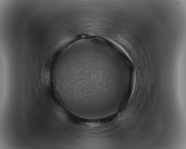 X0000086770693200704201805