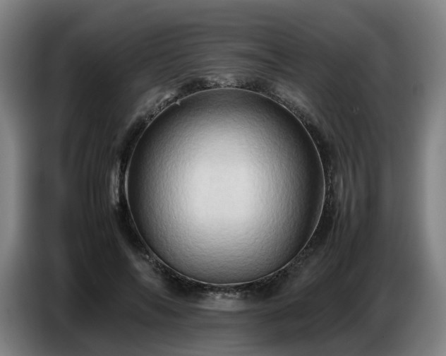 X0000086770694200704201805