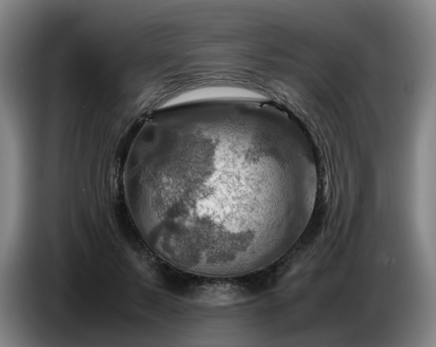 X0000086770695200704201805