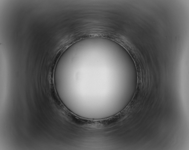X0000086770696200704201805