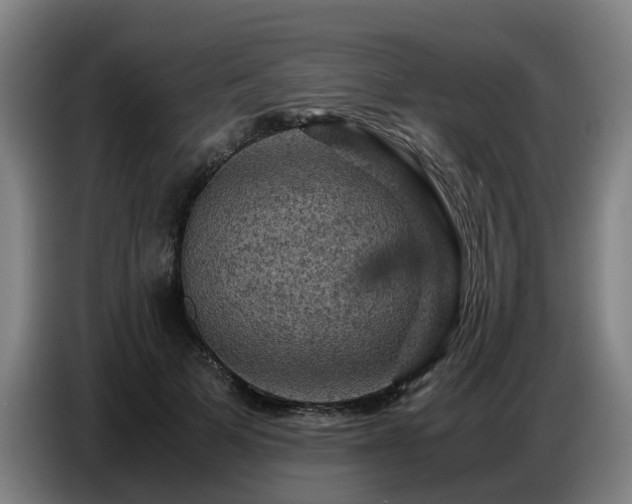 X0000086770697200704201805