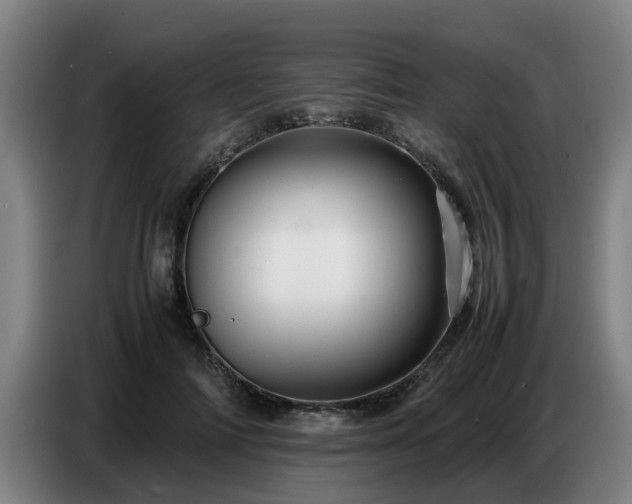 X0000086770698200704201805