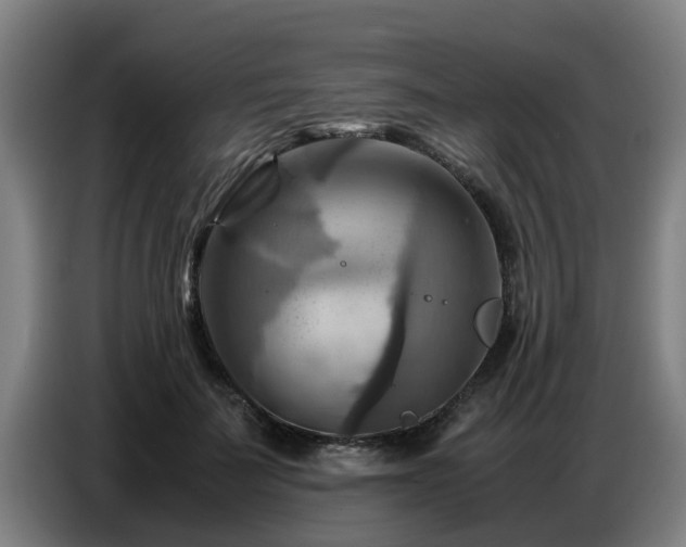 X0000086770699200704201805