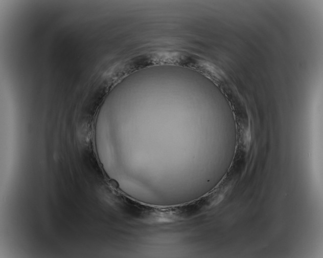 X0000086770701200704201805