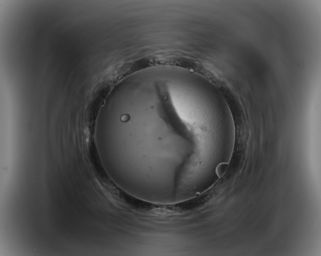 X0000086770703200704201805