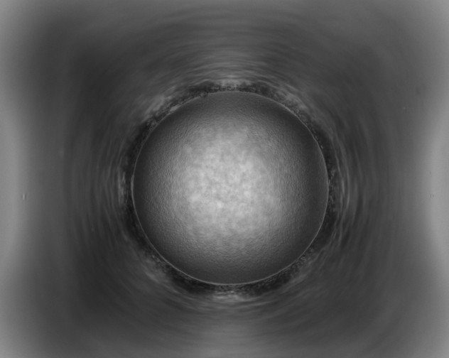 X0000086770704200704201805